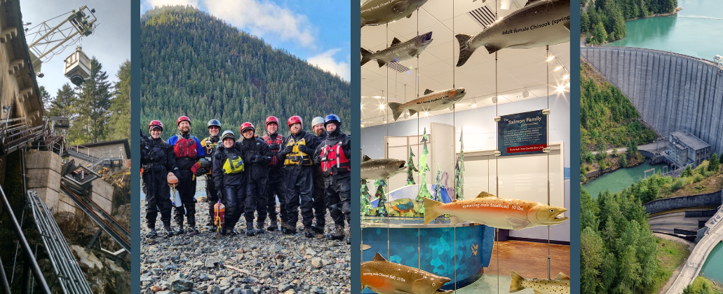 Tacoma Power's Generation division is looking for a Natural Resources Intern to join their Natural Resources team located in Tacoma or Hoodsport, WA.